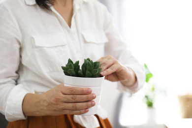 Photo of Woman with succulent plant at home, closeup. Engaging hobby