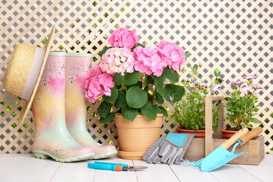 Photo of Beautiful blooming plants, gardening tools and accessories on white wooden table