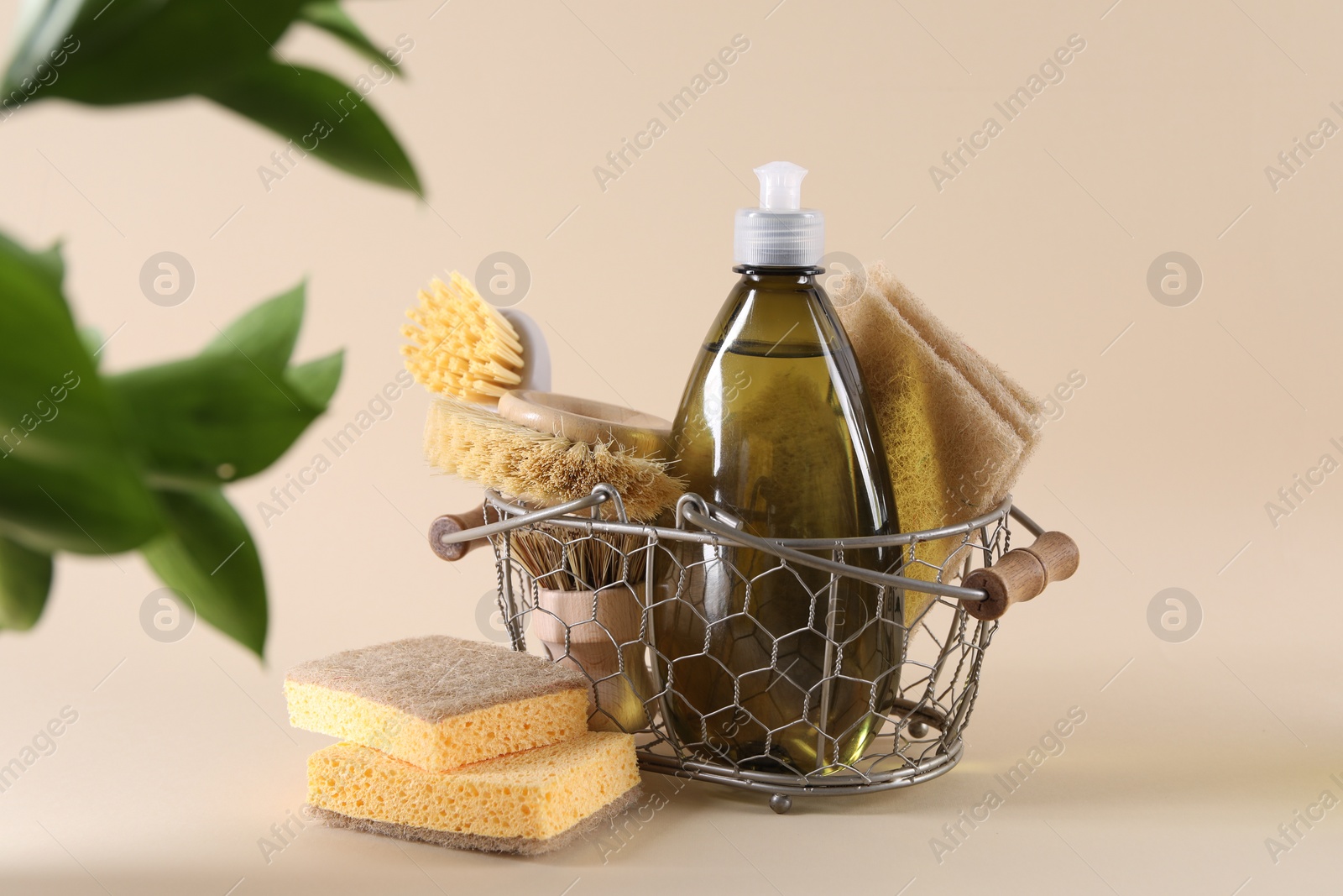 Photo of Bottle of cleaning product, sponges, brushes and floral decor on beige background