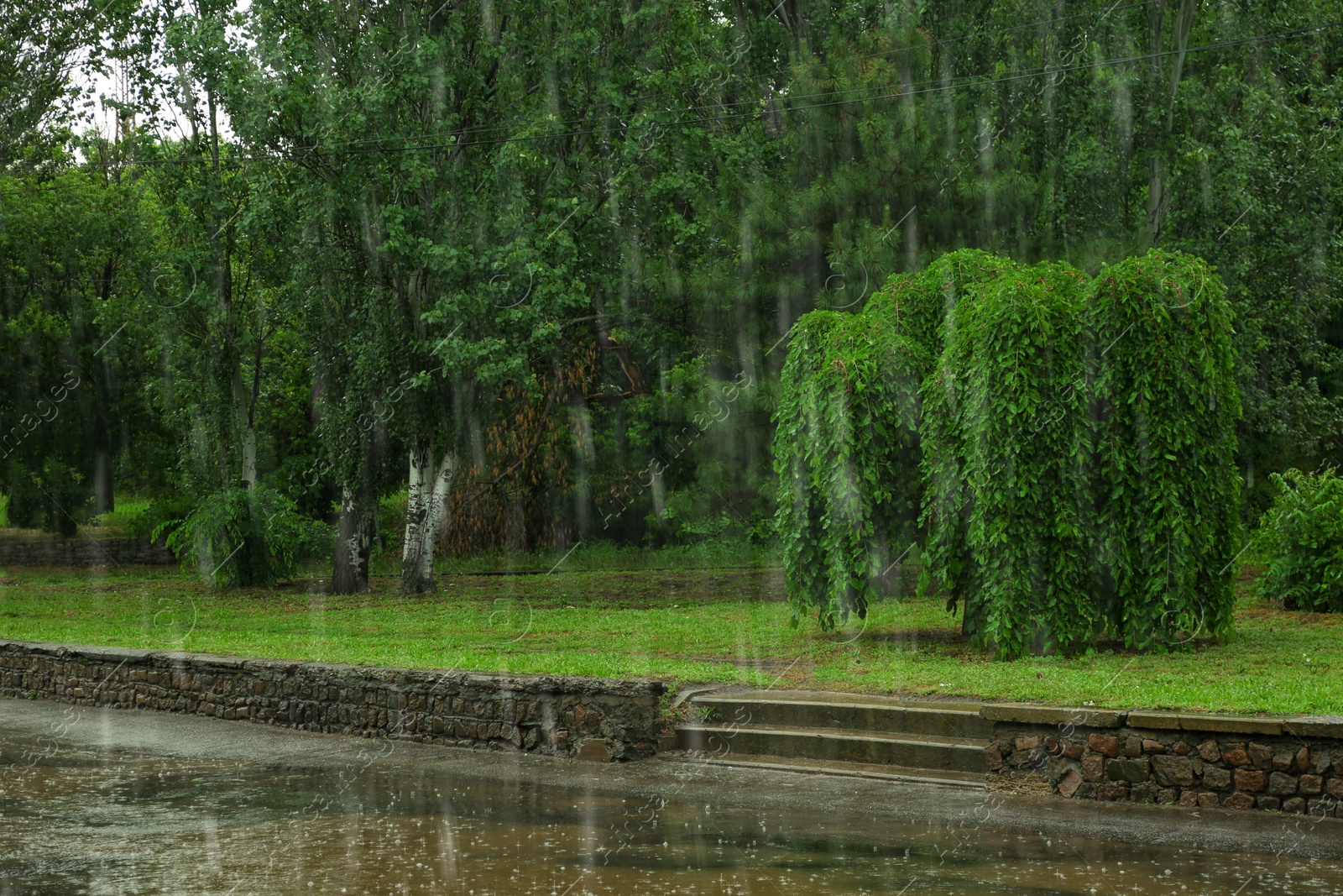 Photo of View of heavy pouring rain in green park