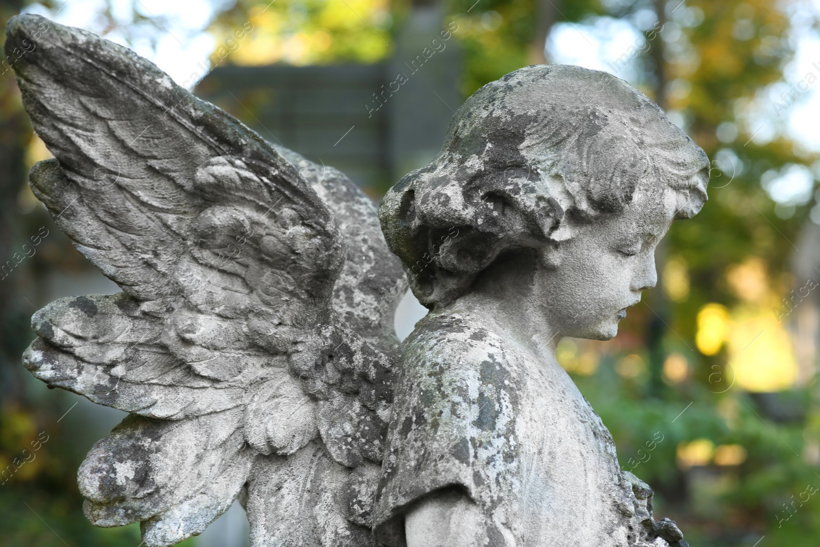 Photo of Beautiful statue of angel at cemetery. Religious symbol