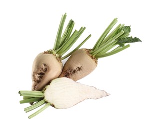 Whole and cut sugar beets on white background