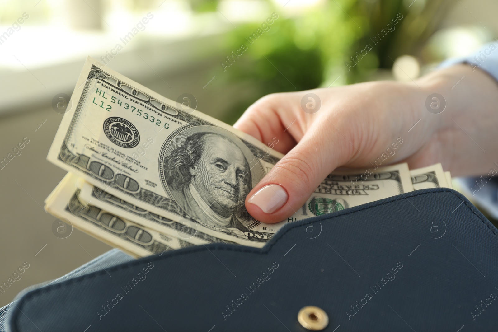 Photo of Money exchange. Woman putting dollar banknotes into wallet on blurred background, closeup