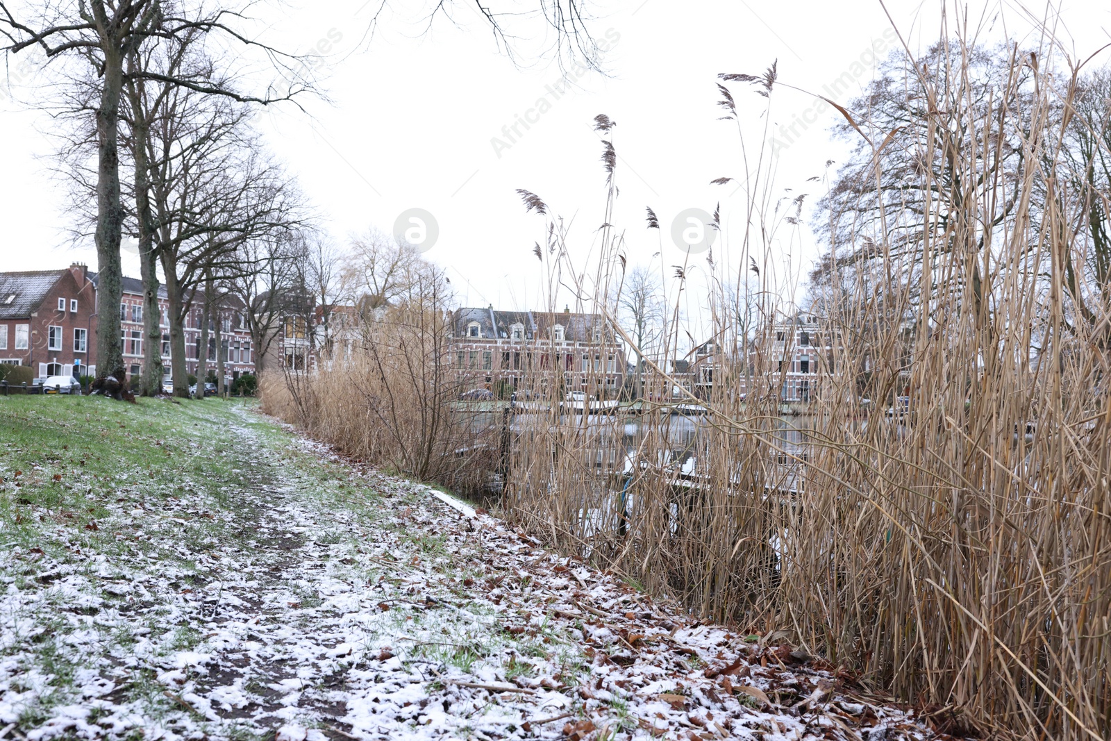 Photo of Picturesque view of water canal with reeds and buildings on winter day