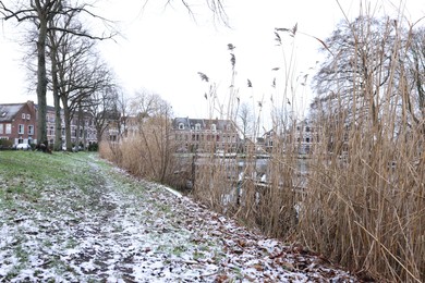 Picturesque view of water canal with reeds and buildings on winter day