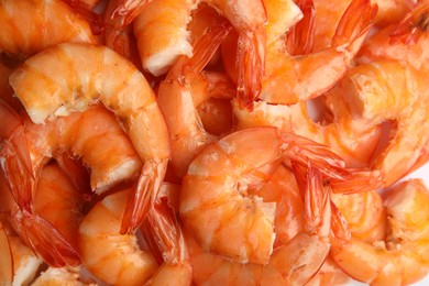 Photo of Pile of delicious cooked shrimps as background, closeup