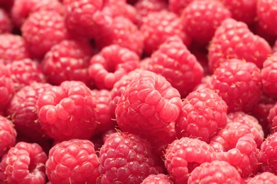 Photo of Ripe aromatic raspberries as background