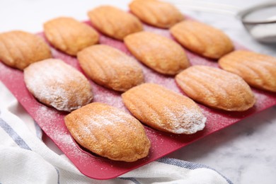 Delicious madeleine cookies in baking mold on white marble table, closeup