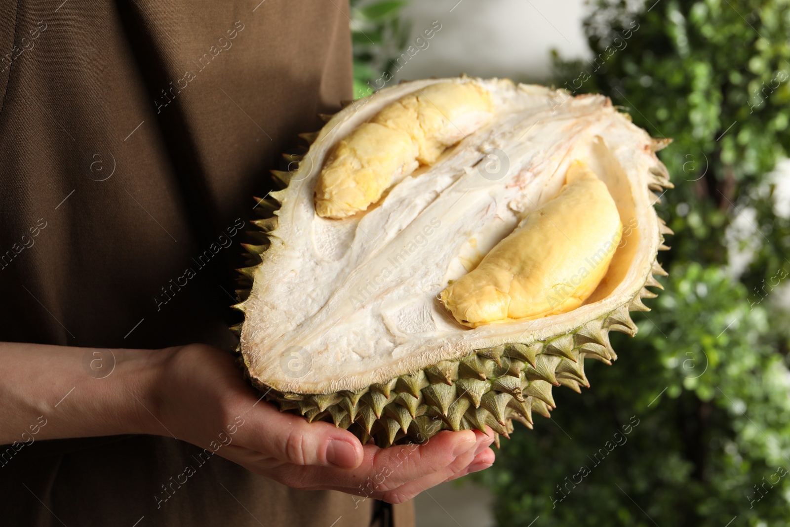 Photo of Woman holding half of ripe durian fruit on blurred background, closeup