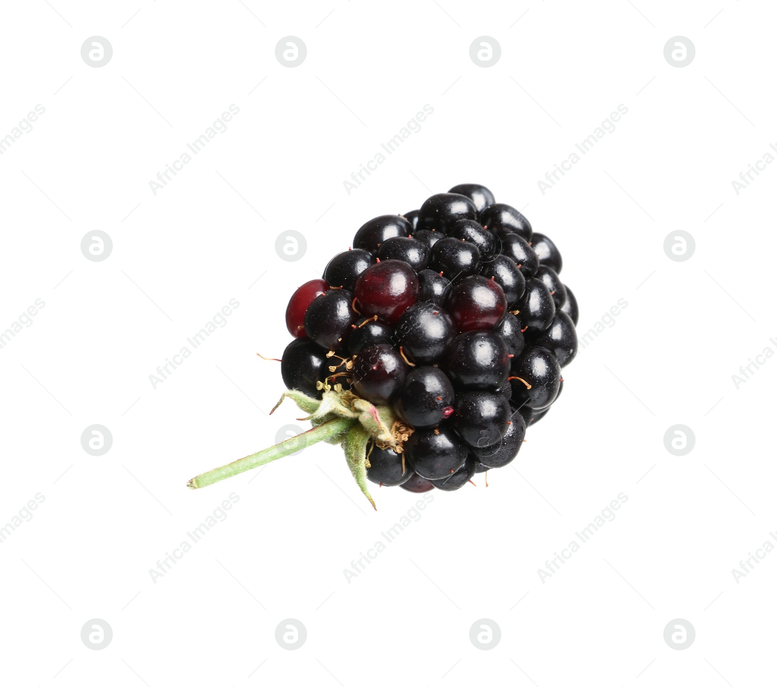 Photo of One tasty ripe blackberry isolated on white