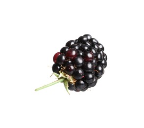 One tasty ripe blackberry isolated on white