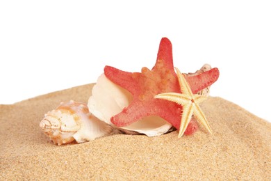 Sand with many beautiful sea stars and seashells isolated on white