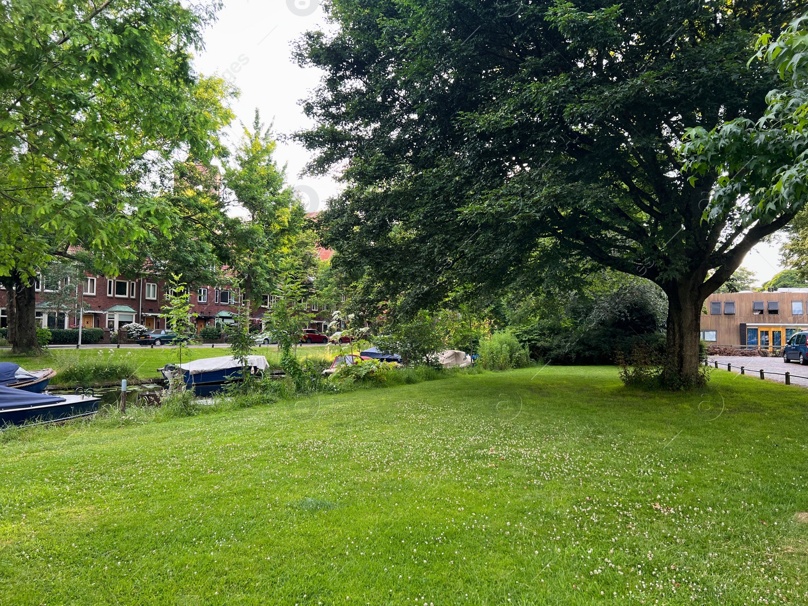 Photo of Picturesque view of beautiful park with fresh green grass and trees on sunny day