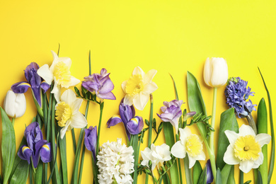 Photo of Flat lay composition with spring flowers on yellow background