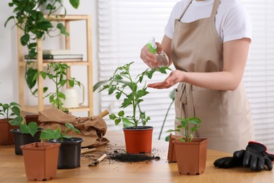 Photo of Woman spraying seedling in pot at wooden table in room, closeup