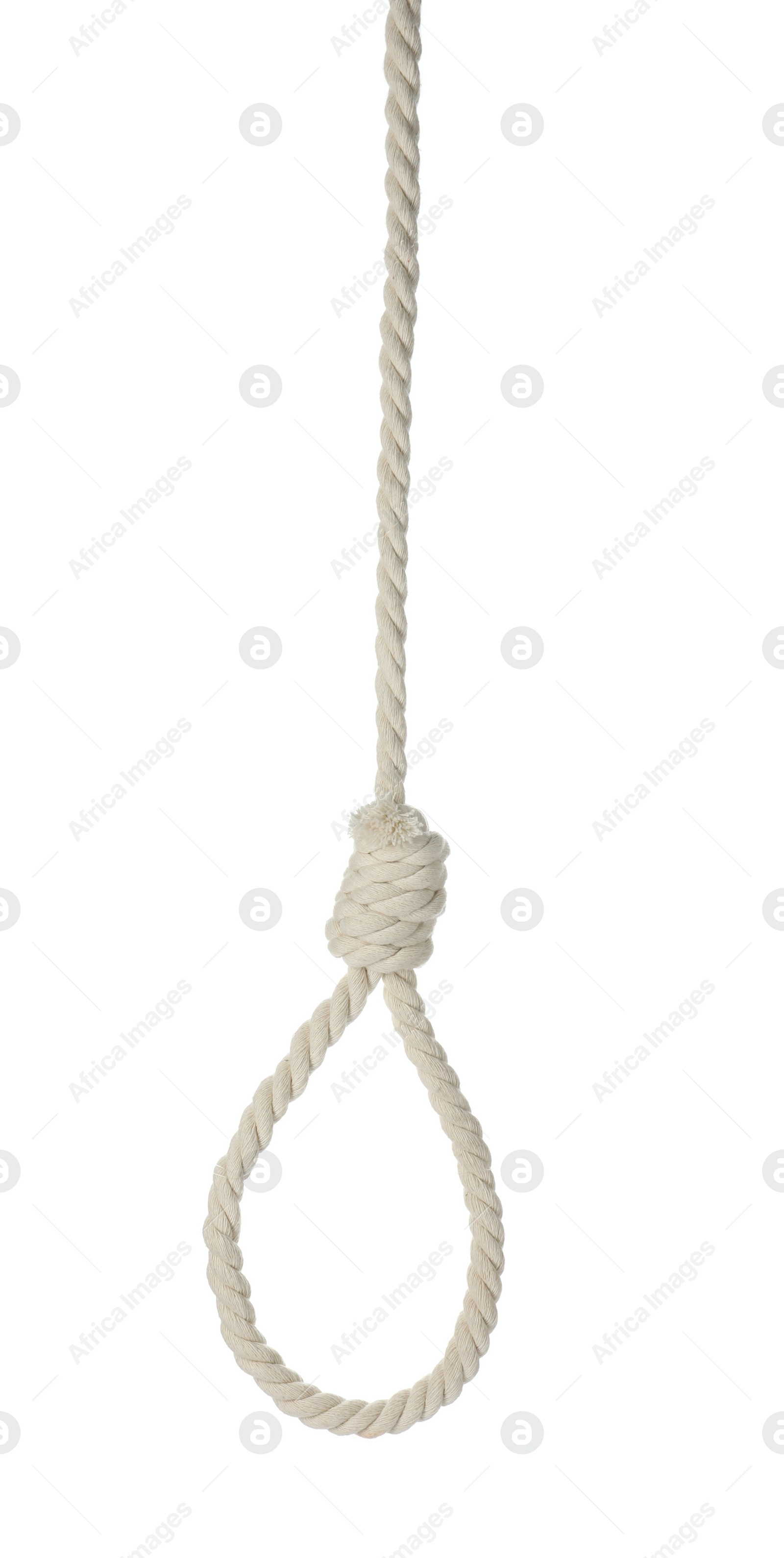 Photo of Rope noose with knot isolated on white