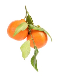 Photo of Tasty ripe tangerines with leaves on white background