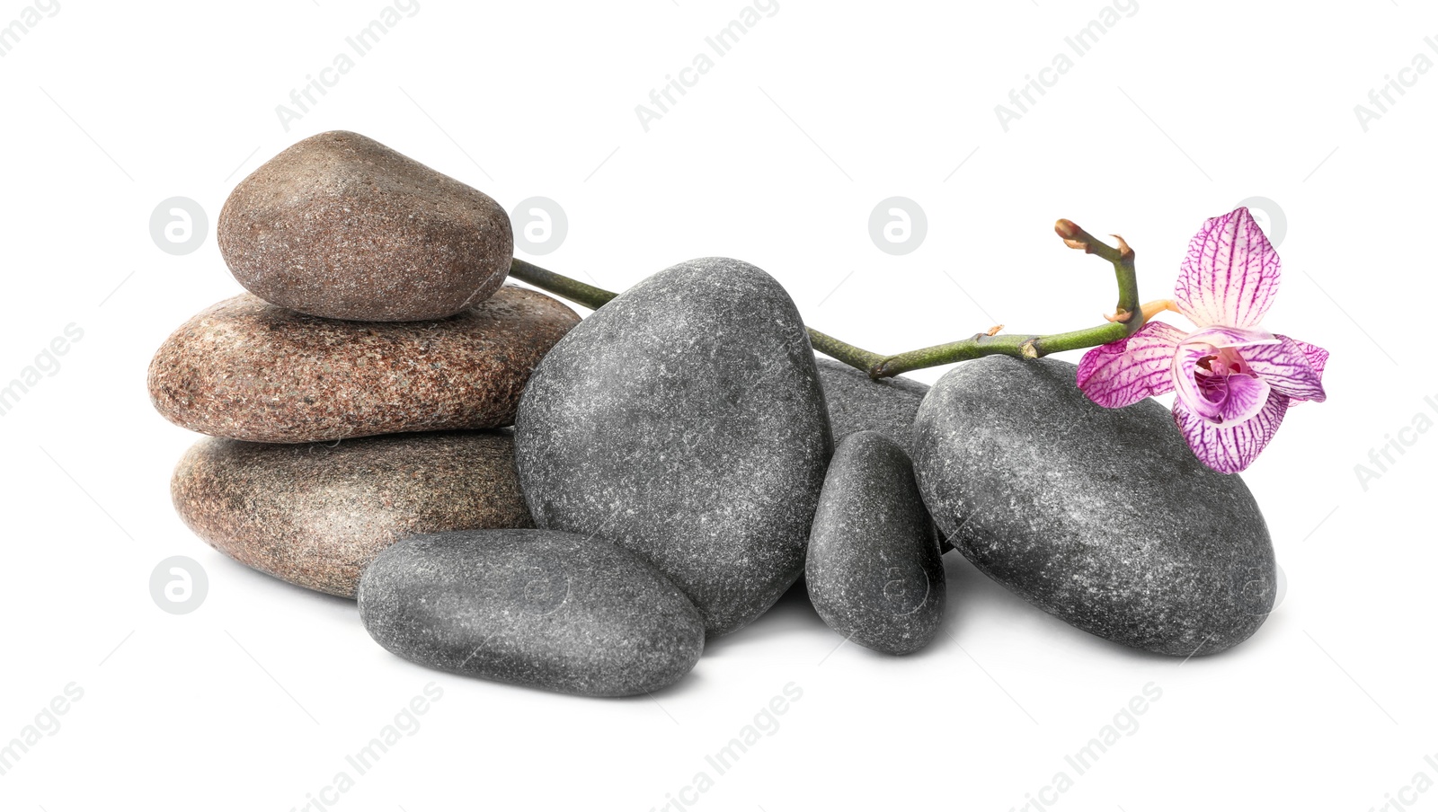 Photo of Spa stones and orchid flower on white background