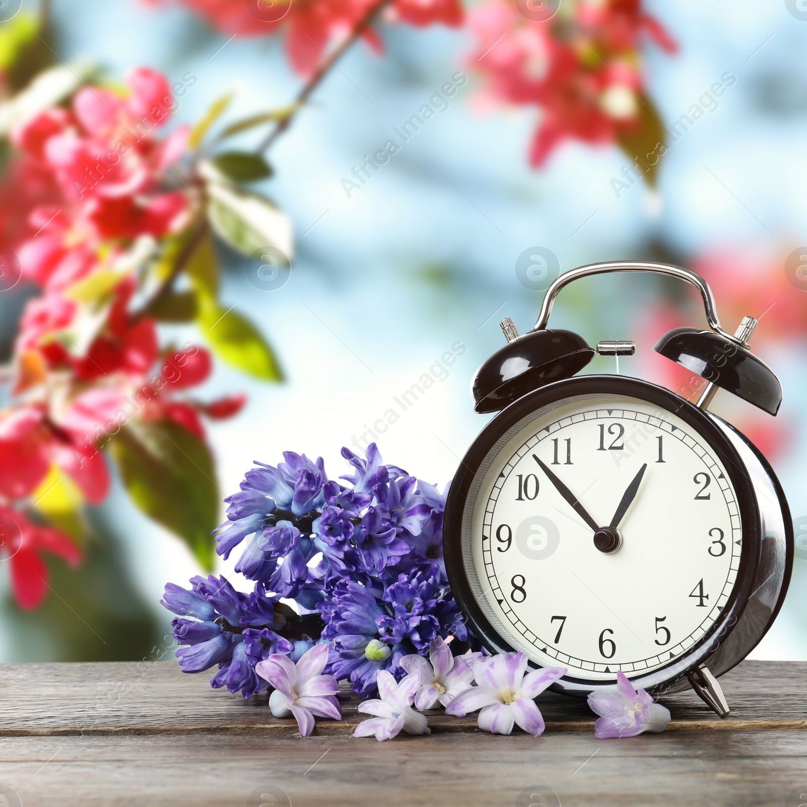 Image of Black alarm clock and flowers on wooden table against blurred background. Spring time