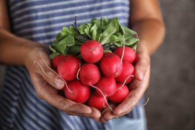 Farmer holding fresh ripe radish on grey background, closeup
