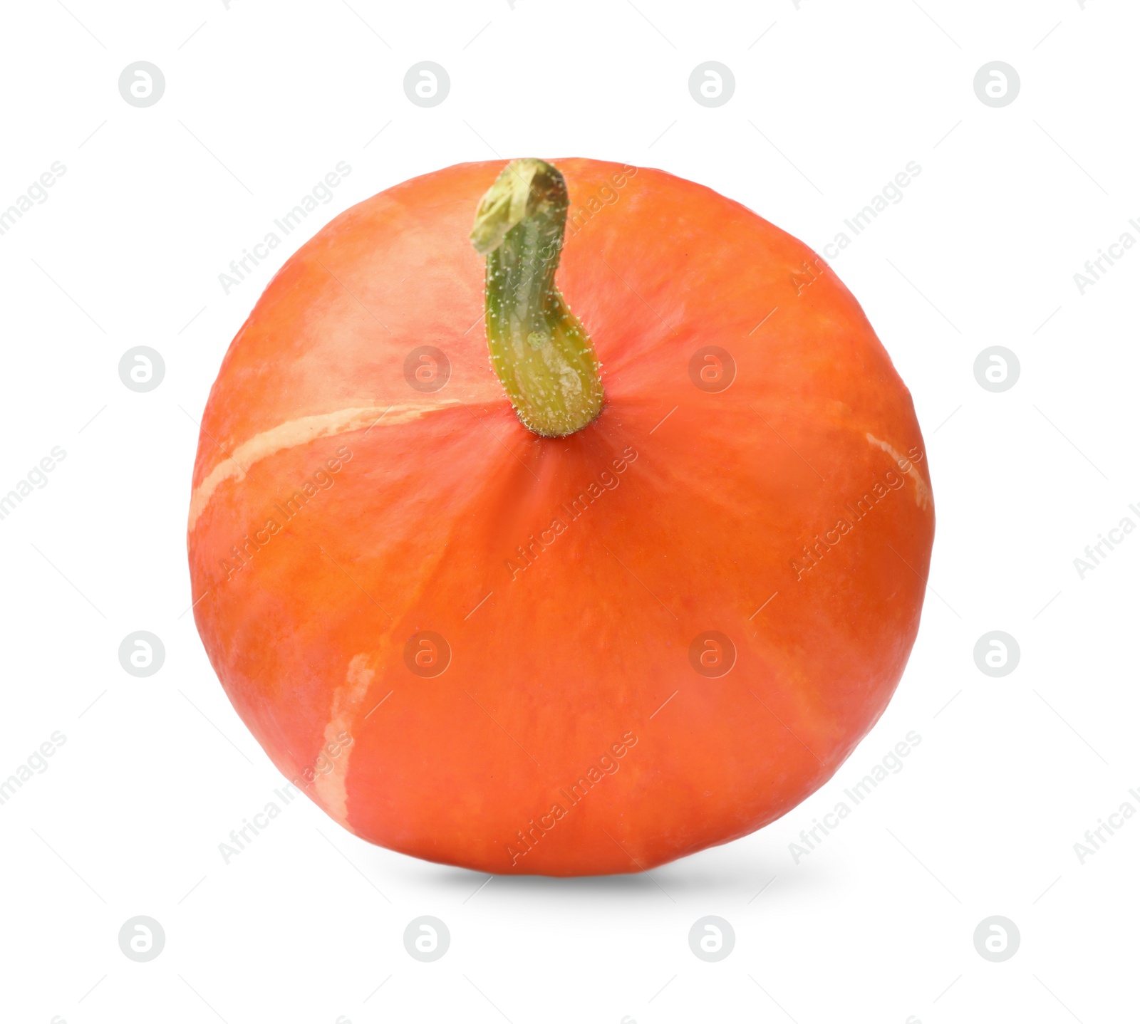 Photo of One whole ripe pumpkin isolated on white