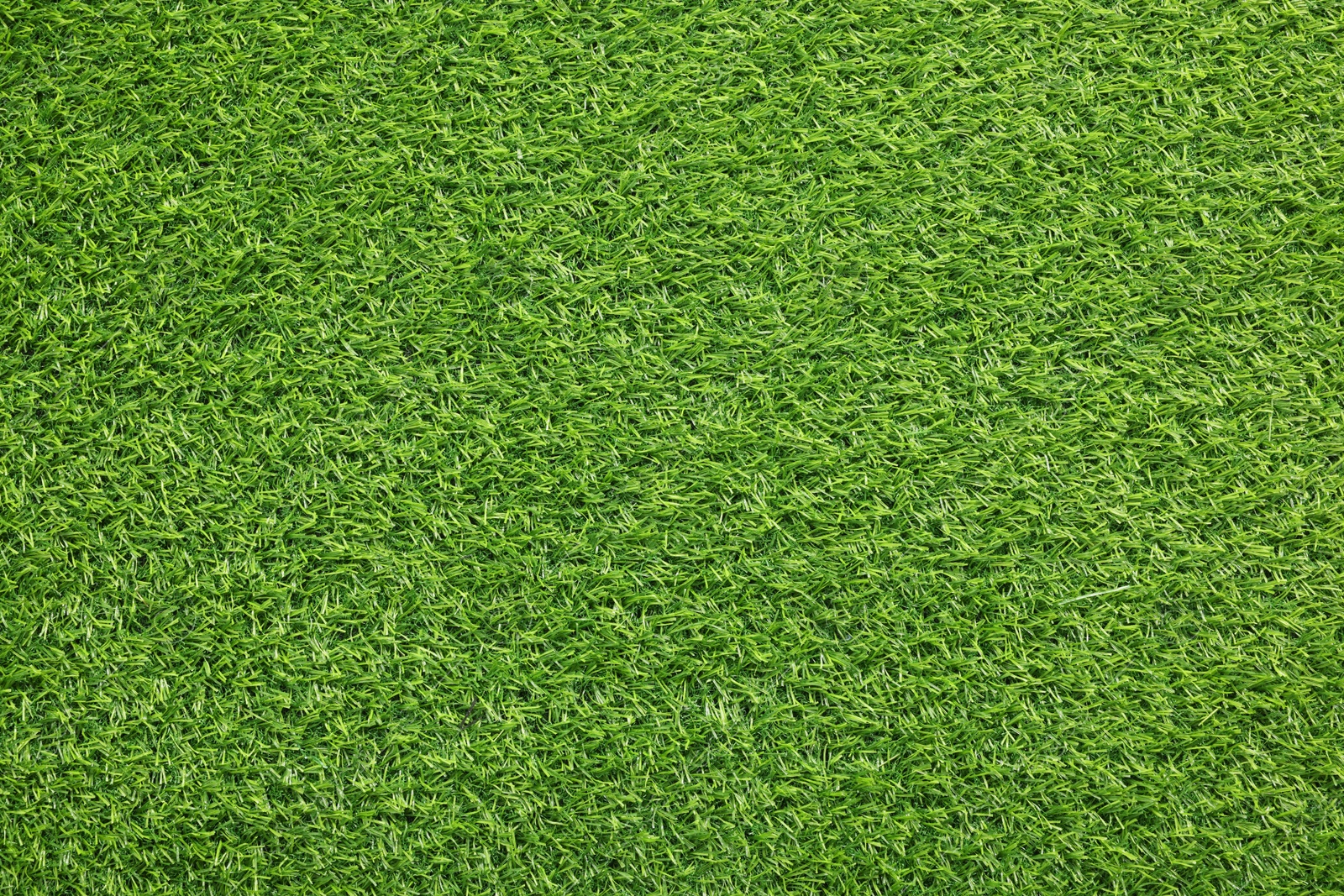 Photo of Green artificial grass as background, top view