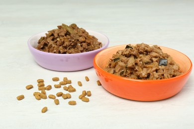 Dry and wet pet food on white table