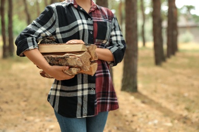 Young woman holding cut firewood in forest, closeup