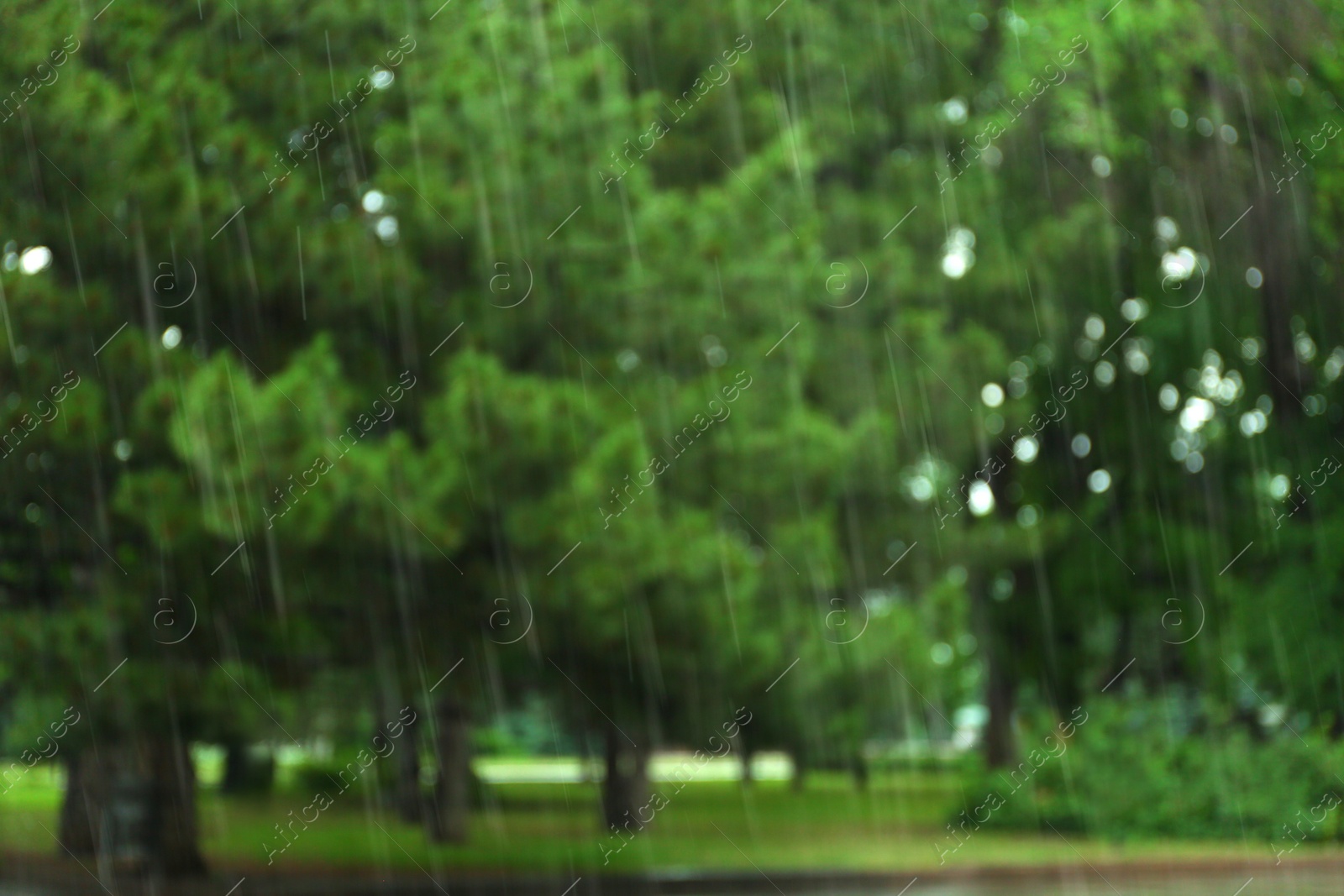 Photo of Blurred view of green park on rainy day