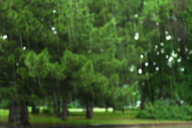 Blurred view of green park on rainy day