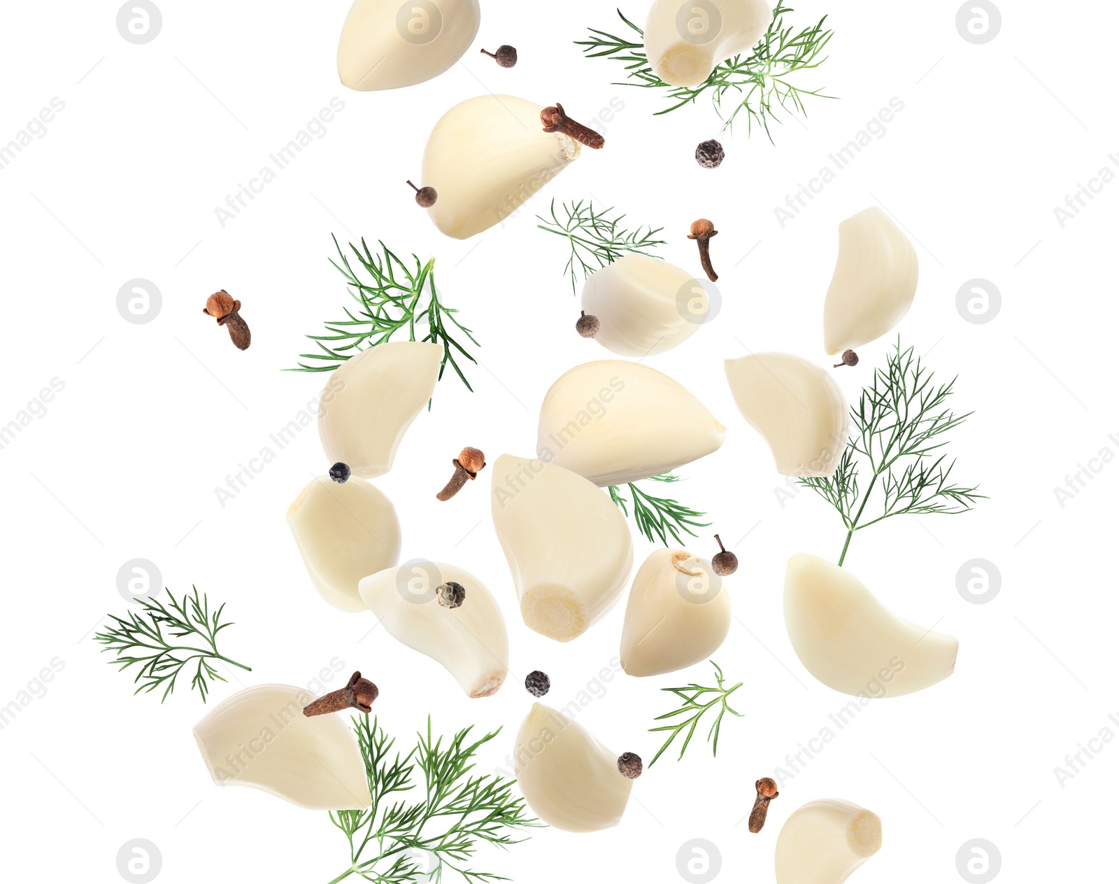 Image of Fresh peeled garlic, cloves, peppercorns and dill flying on white background