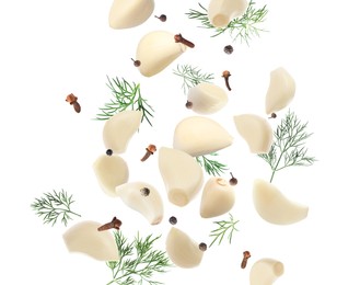 Image of Fresh peeled garlic, cloves, peppercorns and dill flying on white background