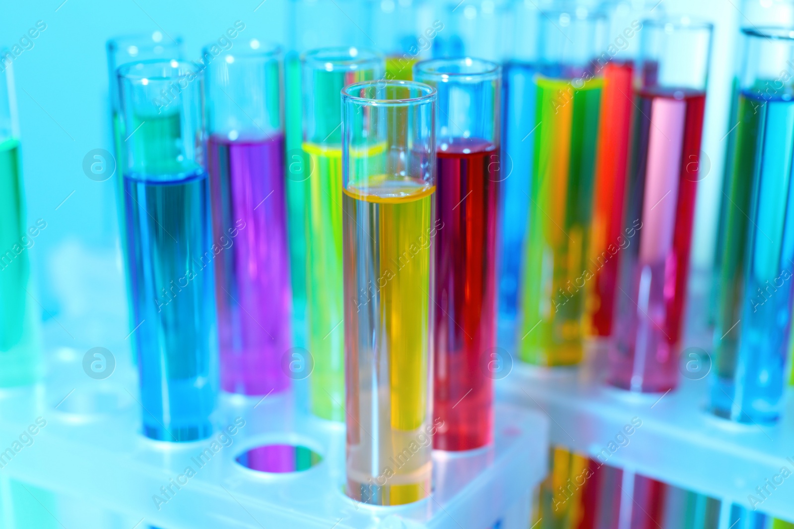 Photo of Many test tubes with colorful liquids on blurred background, closeup