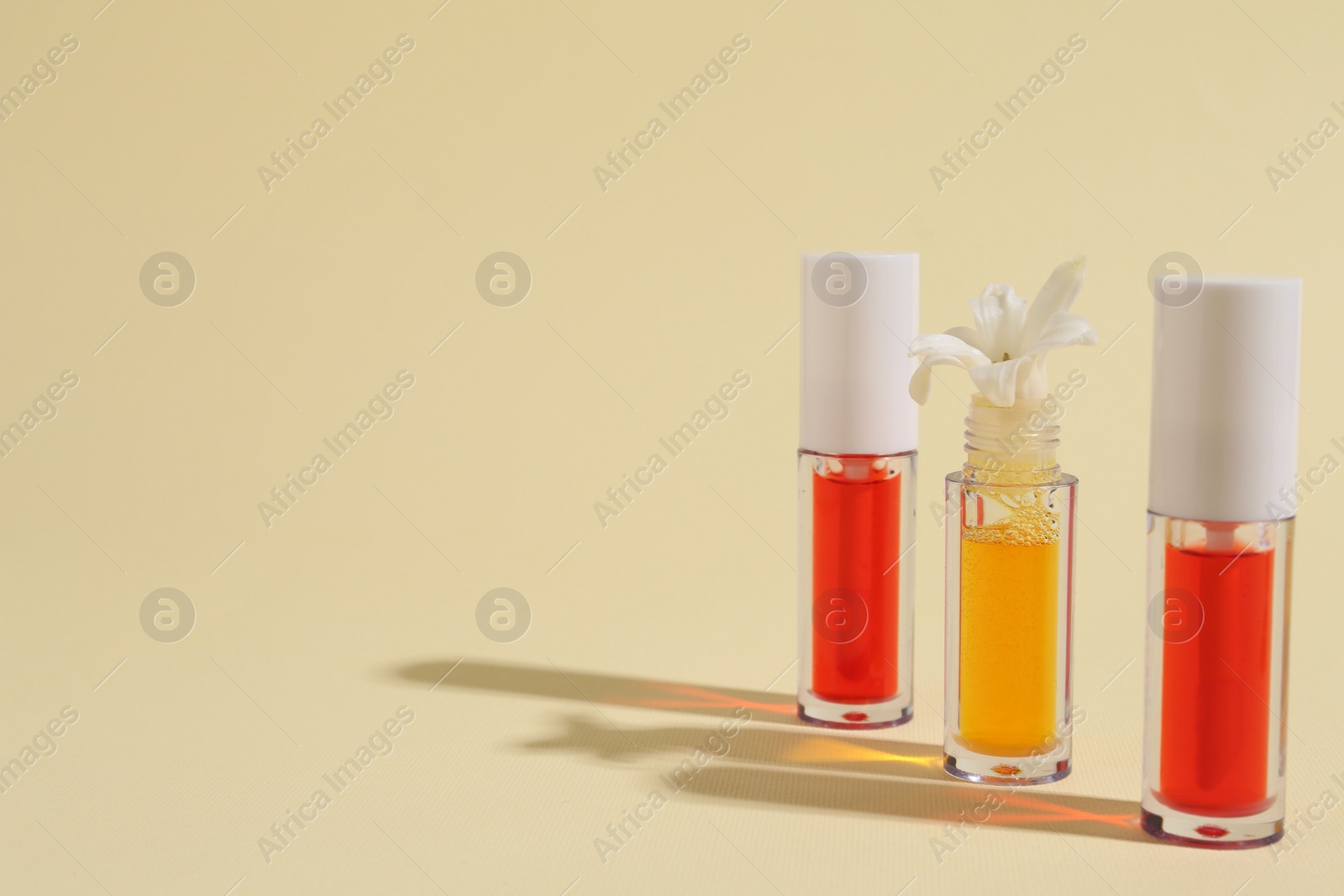 Photo of Bright lip glosses and flower on beige background, space for text