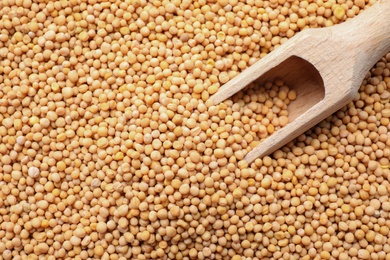 Photo of Mustard seeds with wooden scoop as background, top view