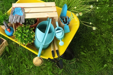 Photo of Composition with gardening tools on green grass, above view