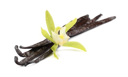 Photo of Vanilla pods and beautiful flower isolated on white