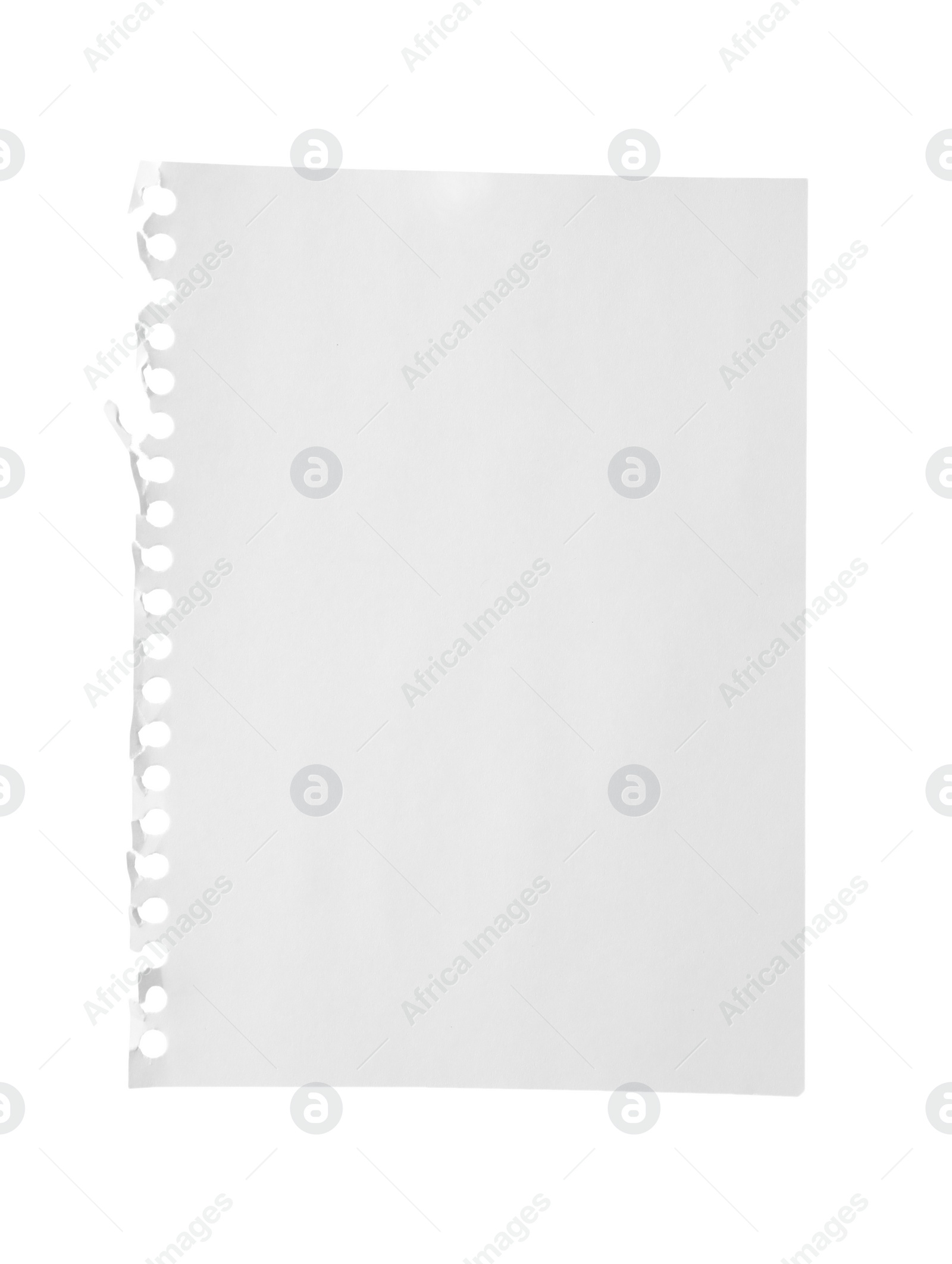 Photo of Blank notebook paper isolated on white. Space for design