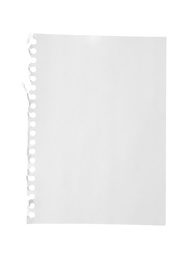 Blank notebook paper isolated on white. Space for design