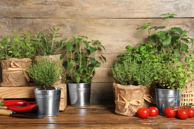 Photo of Different aromatic potted herbs, chili peppers and tomatoes on wooden table