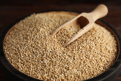 Photo of Plate with white quinoa and wooden scoop, closeup