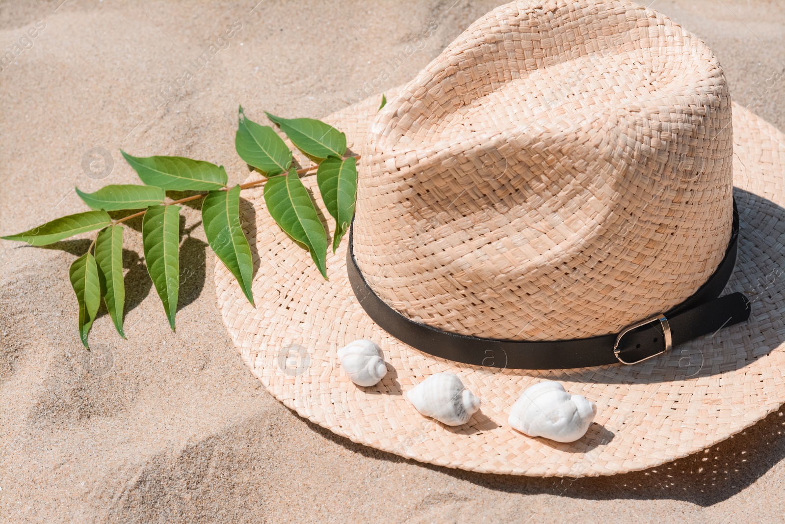 Photo of Straw hat, seashells and green leaves on sandy beach, closeup view