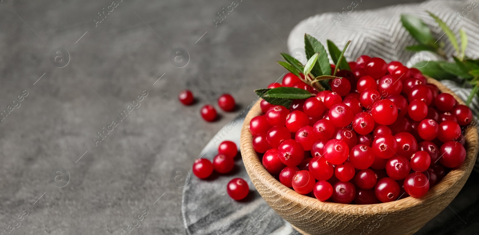 Image of Tasty ripe cranberries on grey table, space for text. Banner design