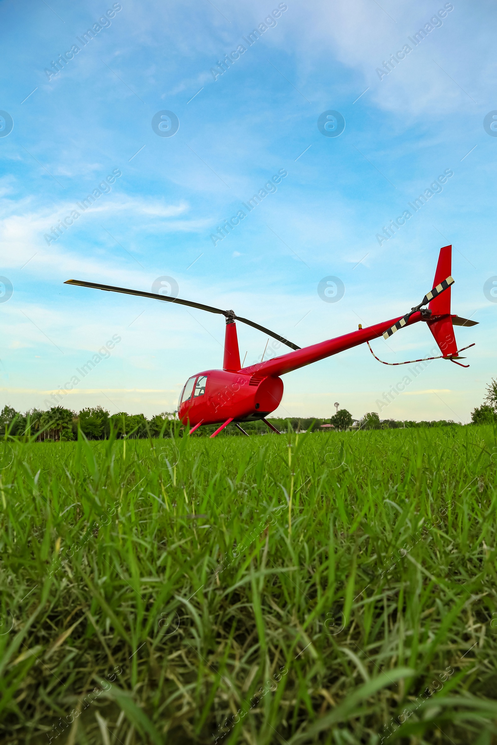 Photo of Modern red helicopter on green grass outdoors, low angle view