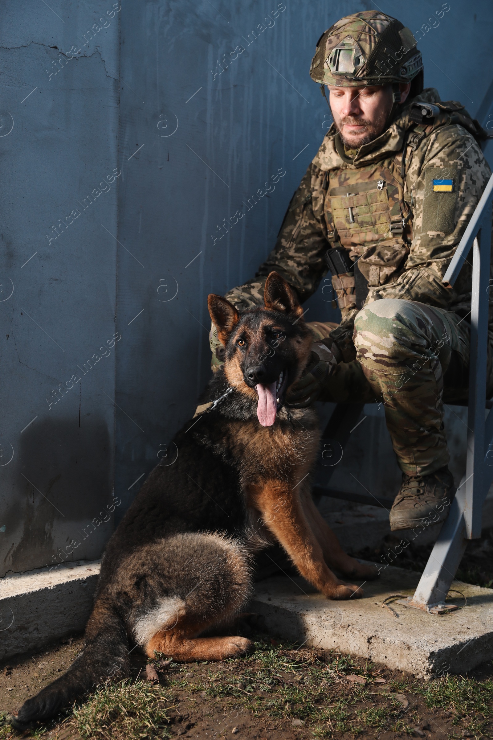 Photo of Ukrainian soldier with German shepherd dog sitting outdoors