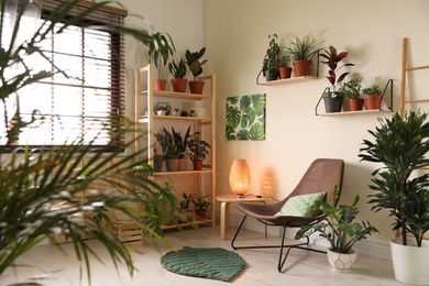 Stylish living room interior with home plants and lounge chair