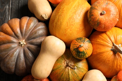 Many different pumpkins as background, closeup. Autumn holidays