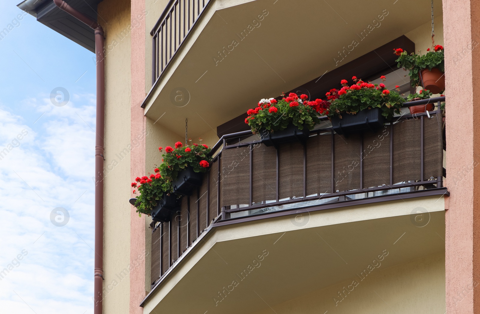 Photo of Balcony decorated with beautiful red flowers, low angle view