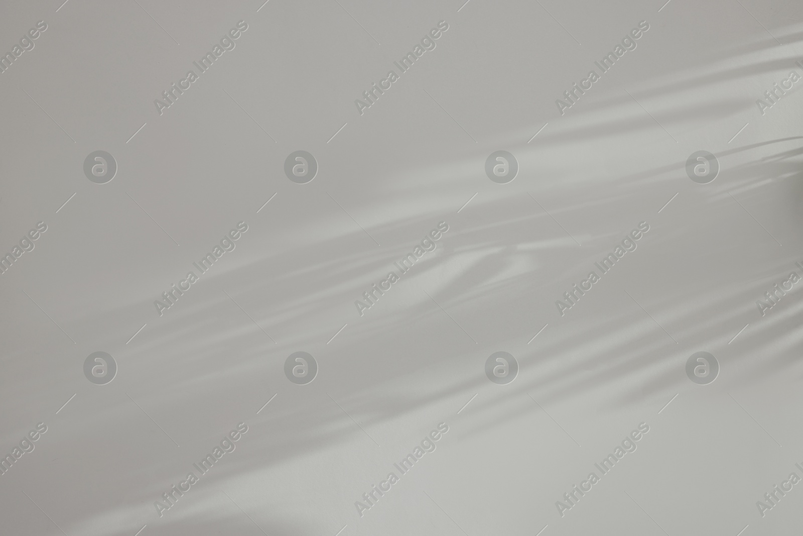 Photo of Shadows from plant on white wall indoors