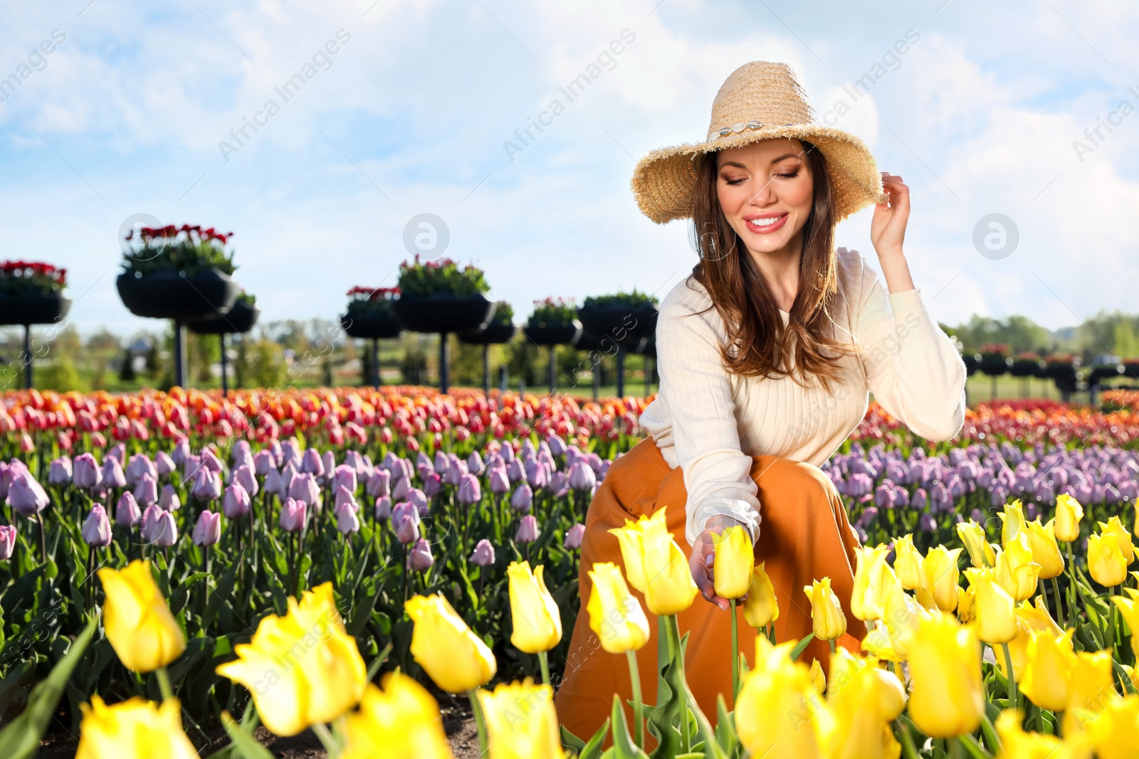 Photo of Woman in beautiful tulip field on sunny day